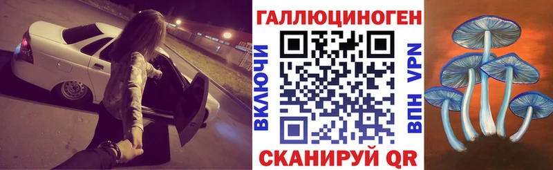 закладка Урюпинск Галлюциногенные грибы MAGIC MUSHROOMS
